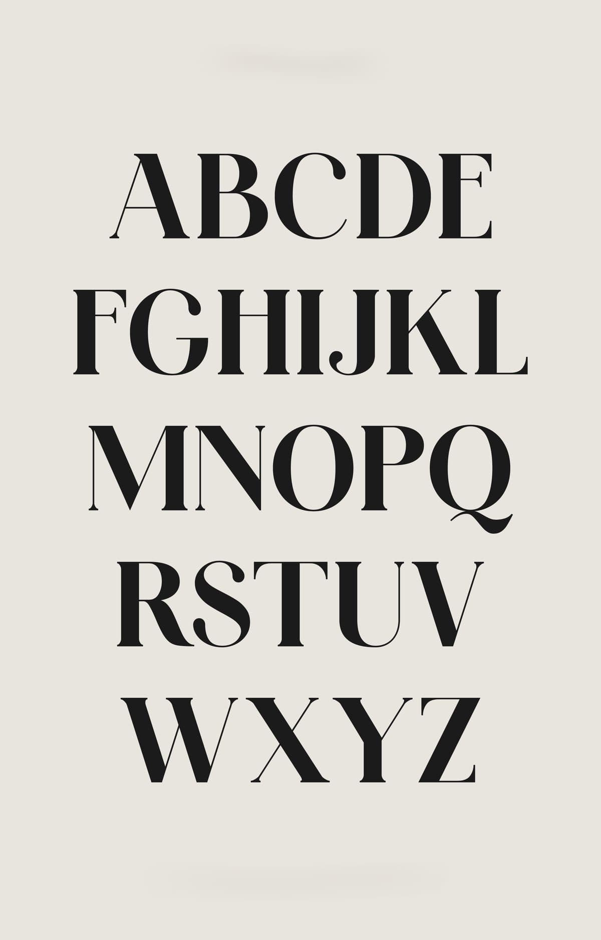 Brand Identity Example 3